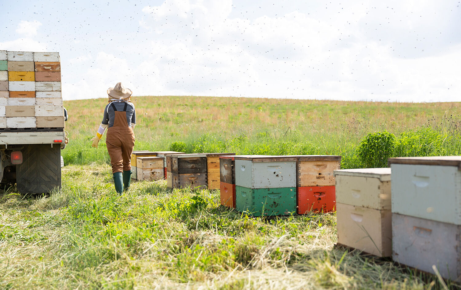Kathy with beehives